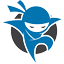 Favicon of Net Ninjas