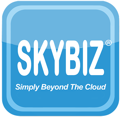 Favicon of SkyBizWeb