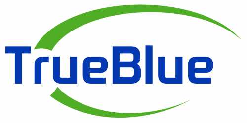 Favicon of True Blue Network Solutions