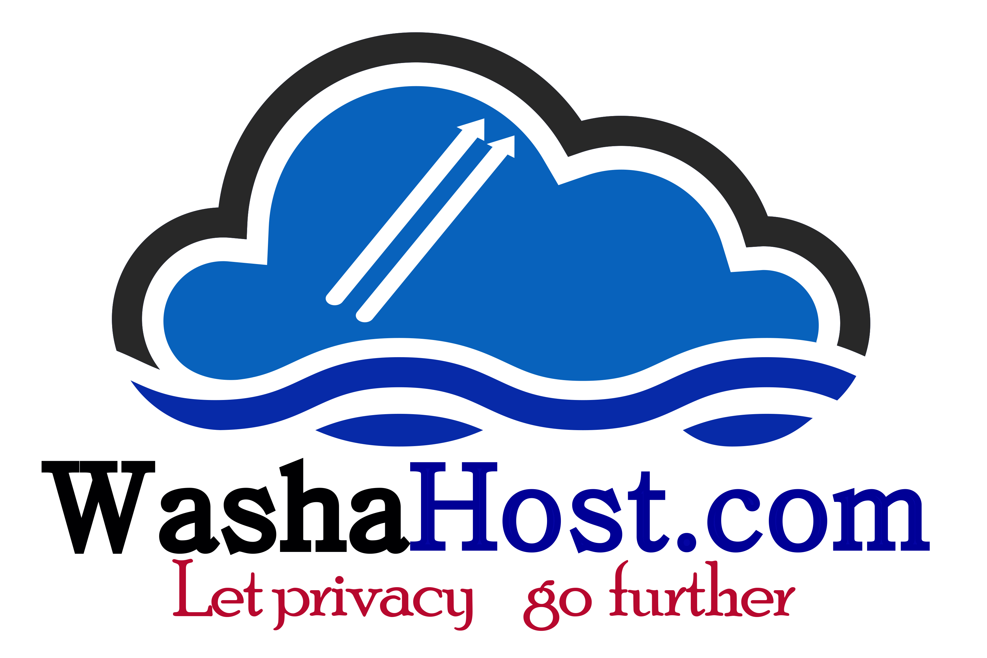 Favicon of WashaHost