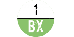 logo of 1BX.host hosting