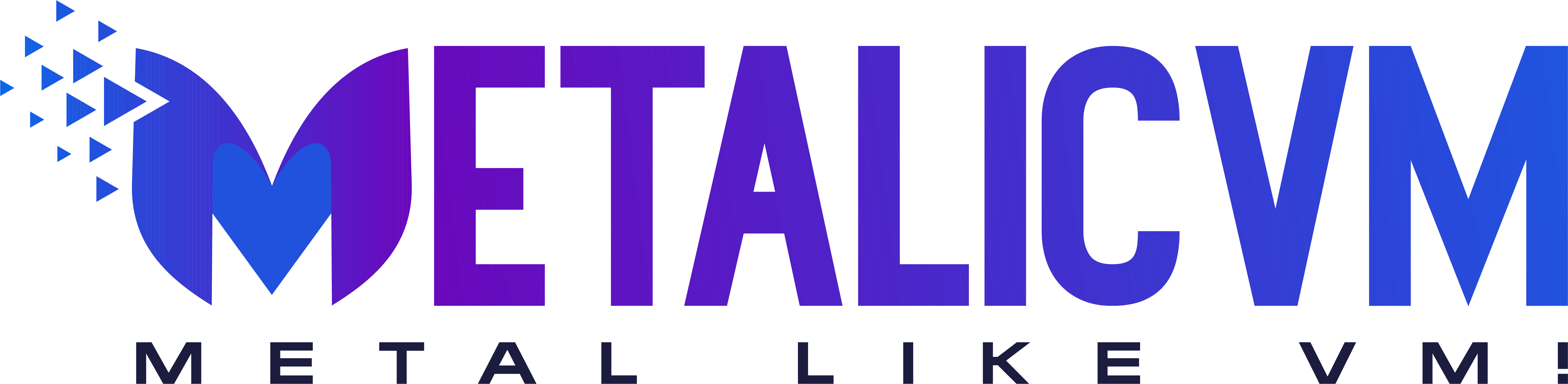 Logo of MetaLicVM, a hosting company