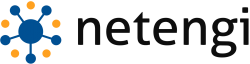 logo of NetEngi hosting