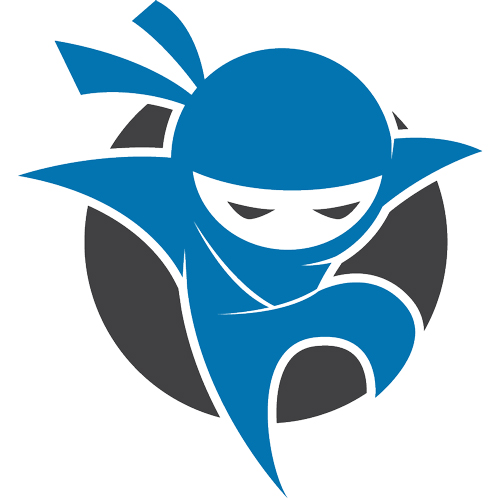 logo of Net Ninjas hosting