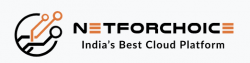 Logo of Netforchoice, a hosting company