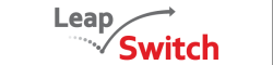 logo of Leapswitch hosting