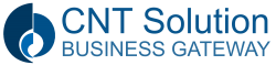 Logo of CNT Solution, a hosting company