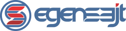 Logo of EgenSajt Hosting AB, a hosting company