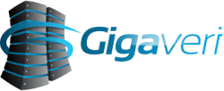 logo of Gigaveri İletişim Hizmetleri A.Ş. hosting