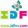 logo of IDFNV hosting