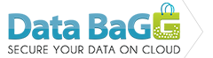 Logo of DatabaGG, a hosting company