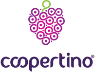 Logo of Coopertino, a hosting company