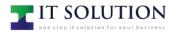 Logo of IT Solution, a hosting company