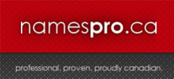 Logo of NamesPro Solutions INC., a hosting company