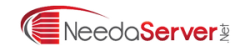 logo of NeedaServer.Net hosting