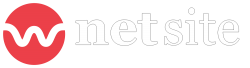 Logo of Netsite, a hosting company