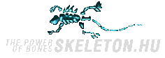 Logo of Skeleton Hosting, a hosting company