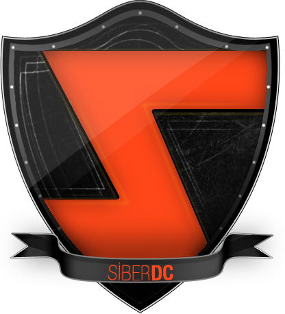 logo of SiberDC hosting