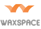 logo of Waxspace India hosting