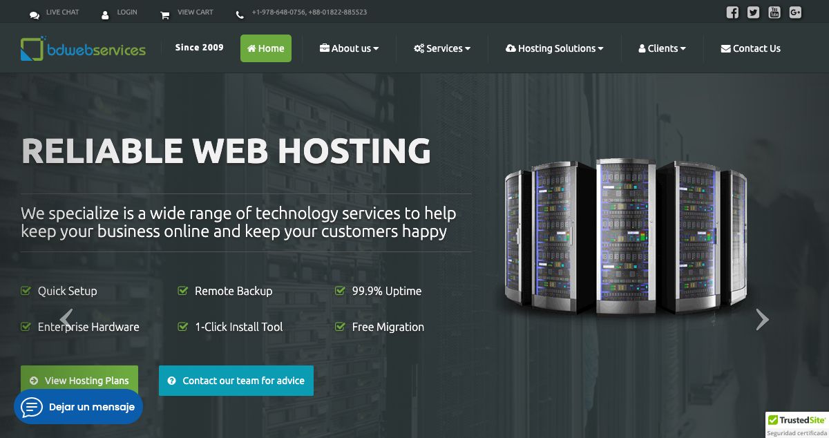 Homepage of BD Web Services hosting