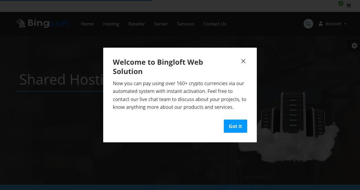 Homepage of BingLoft hosting