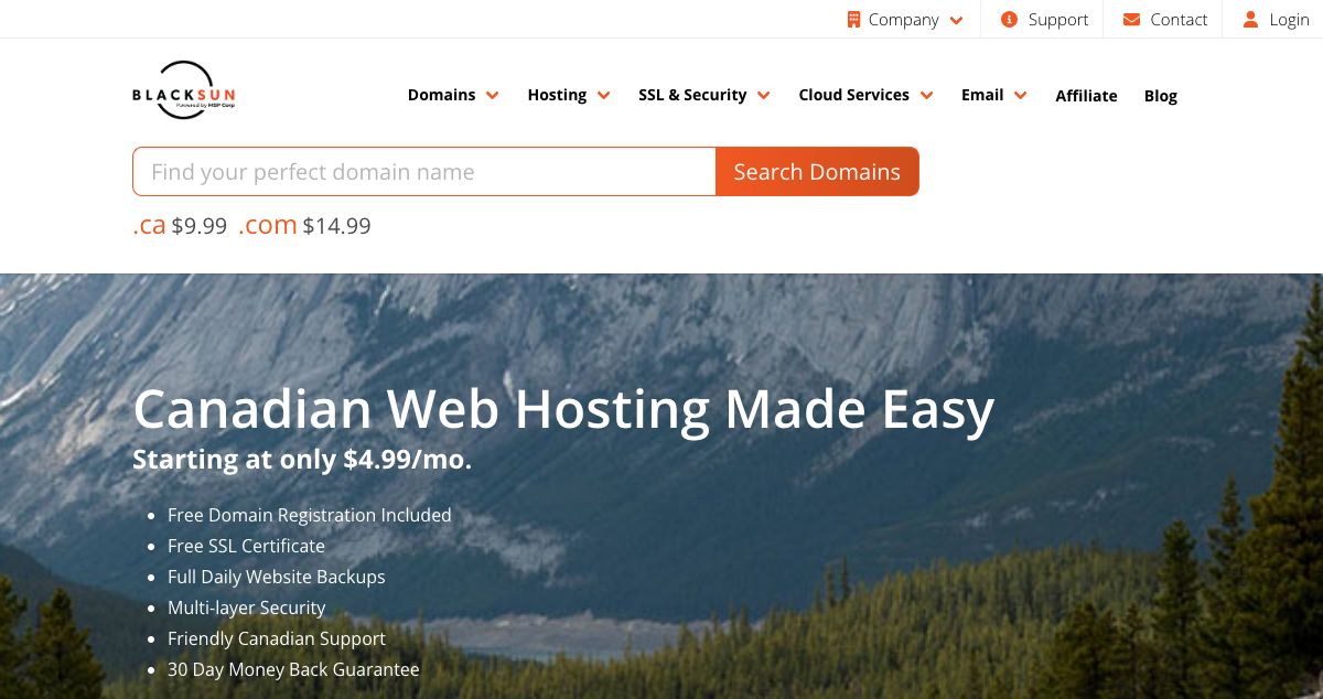 Homepage of BlackSun hosting