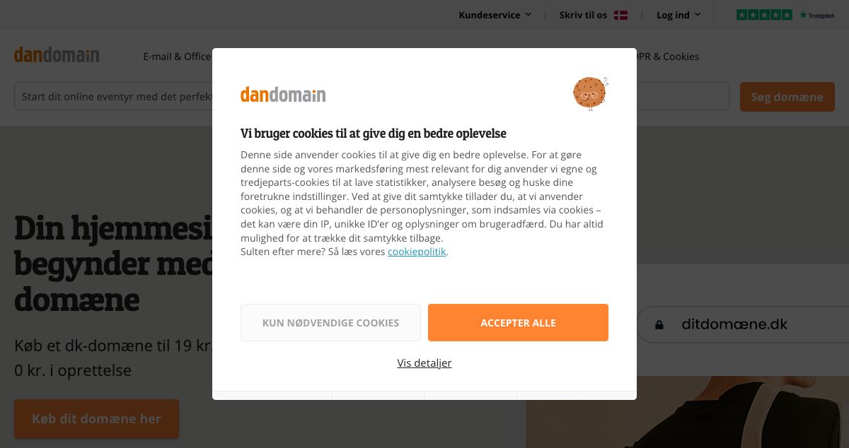 Homepage of DanDomain hosting