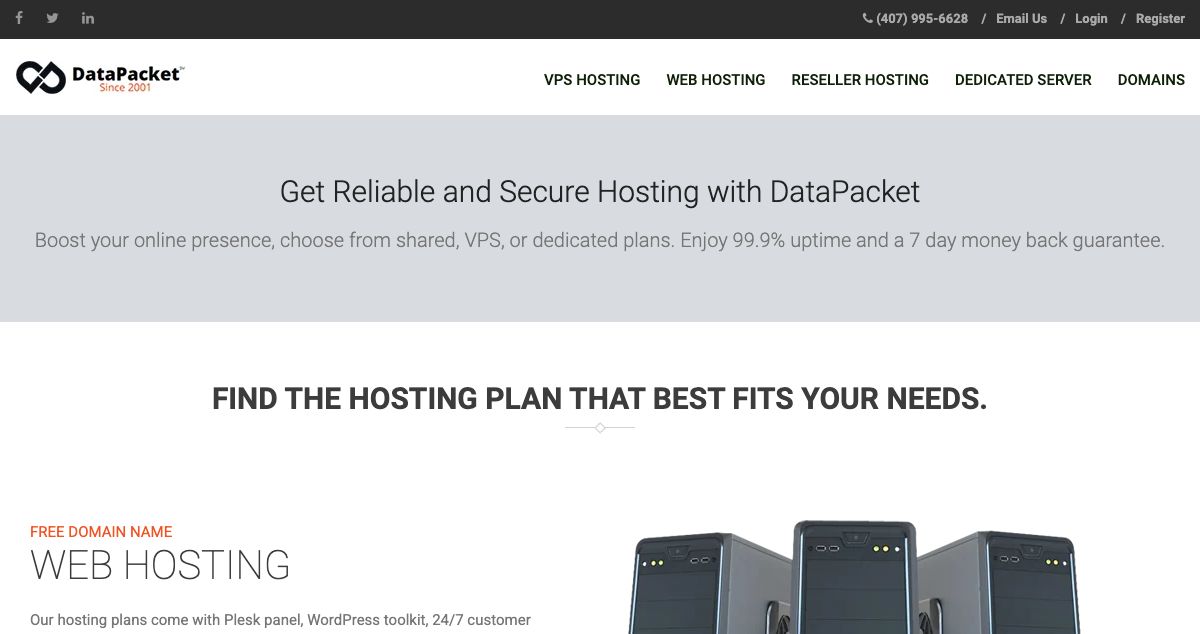 Homepage of Data Packet Networks hosting