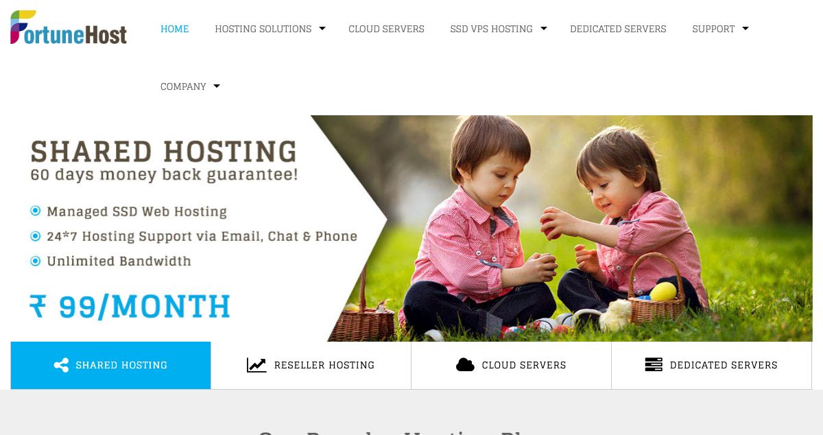 Homepage of FortuneHost hosting