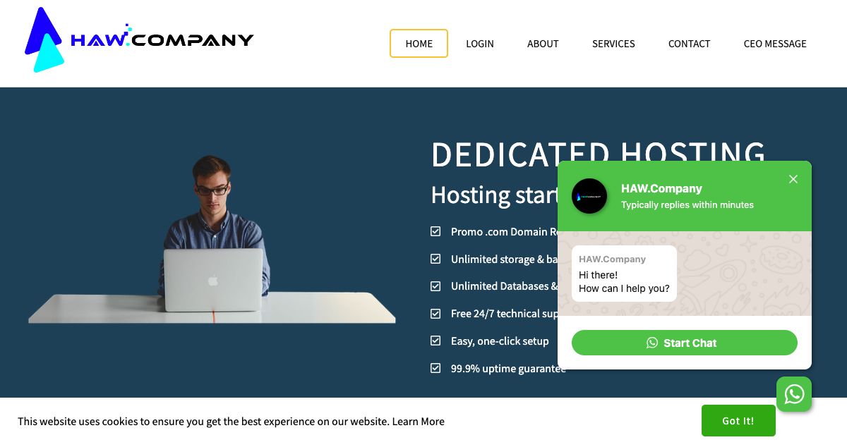 Homepage of haw company hosting