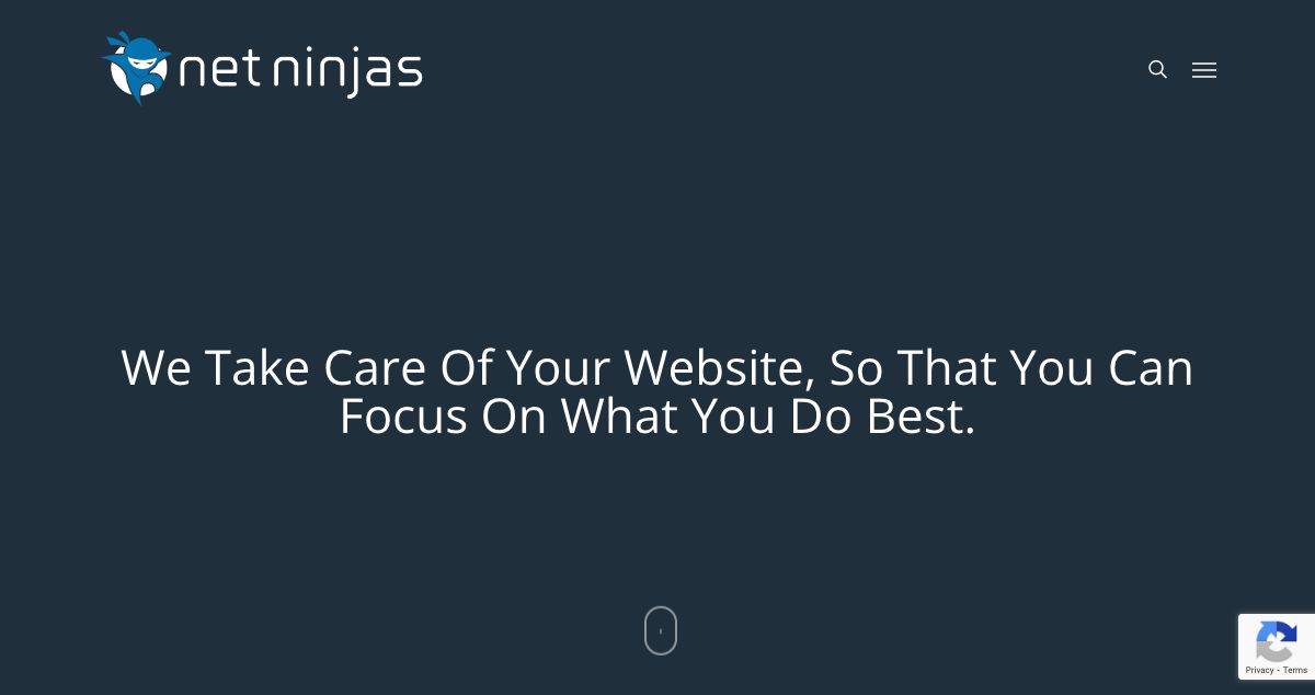 Homepage of Net Ninjas hosting