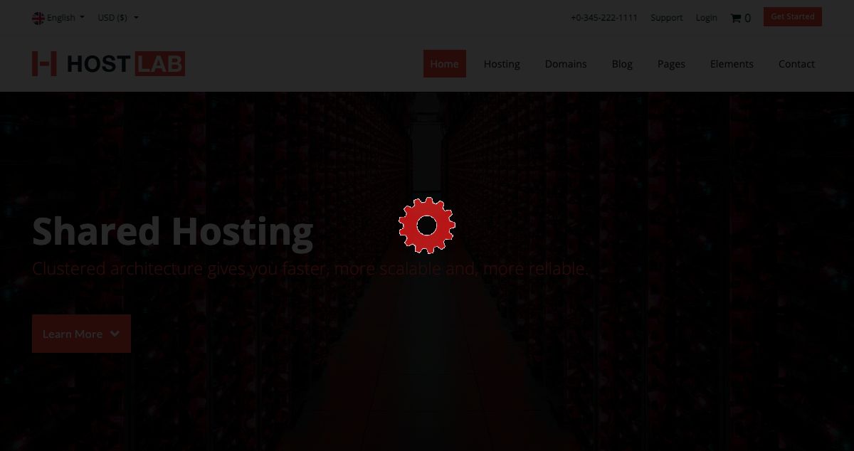 Homepage of Producehost hosting