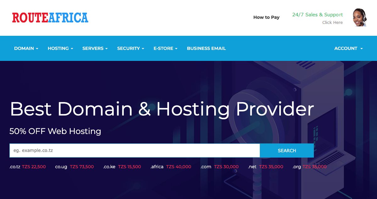 Homepage of Route Africa Networks Limited hosting