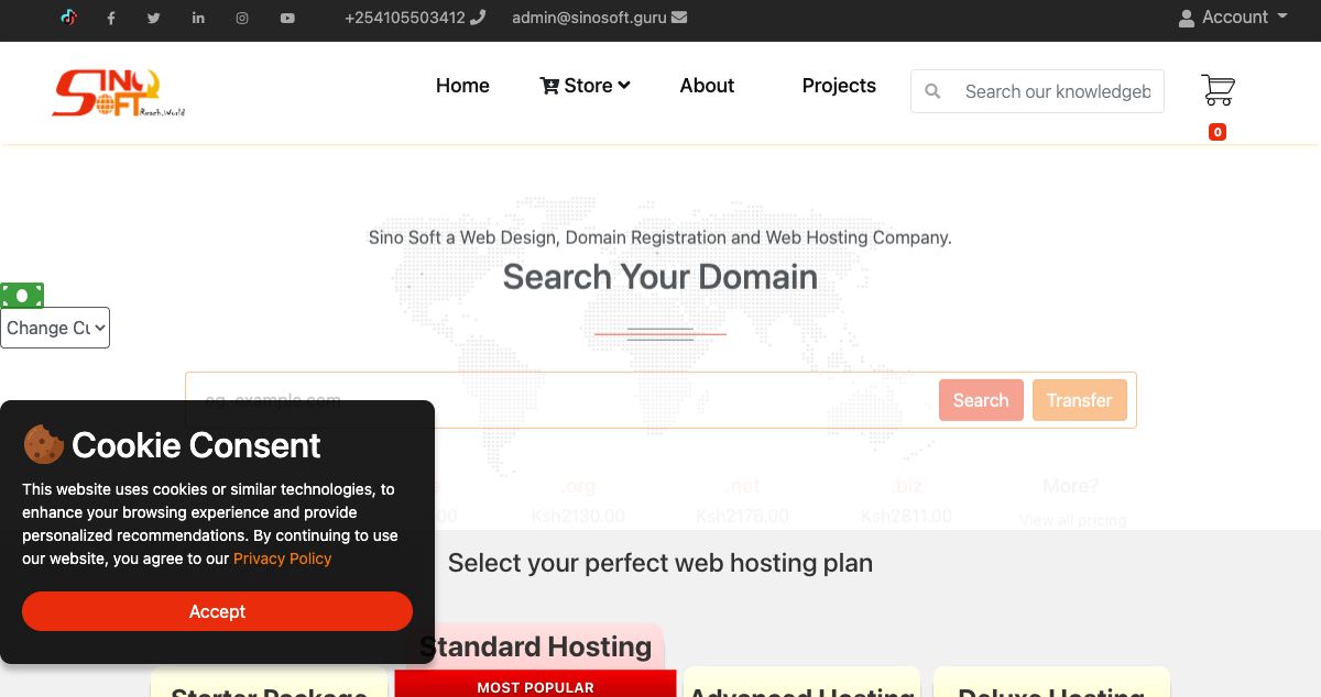 Homepage of SINO SOFT hosting