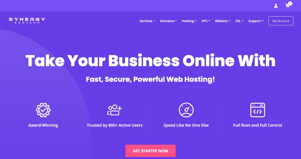 Homepage of SynergyServers.com hosting
