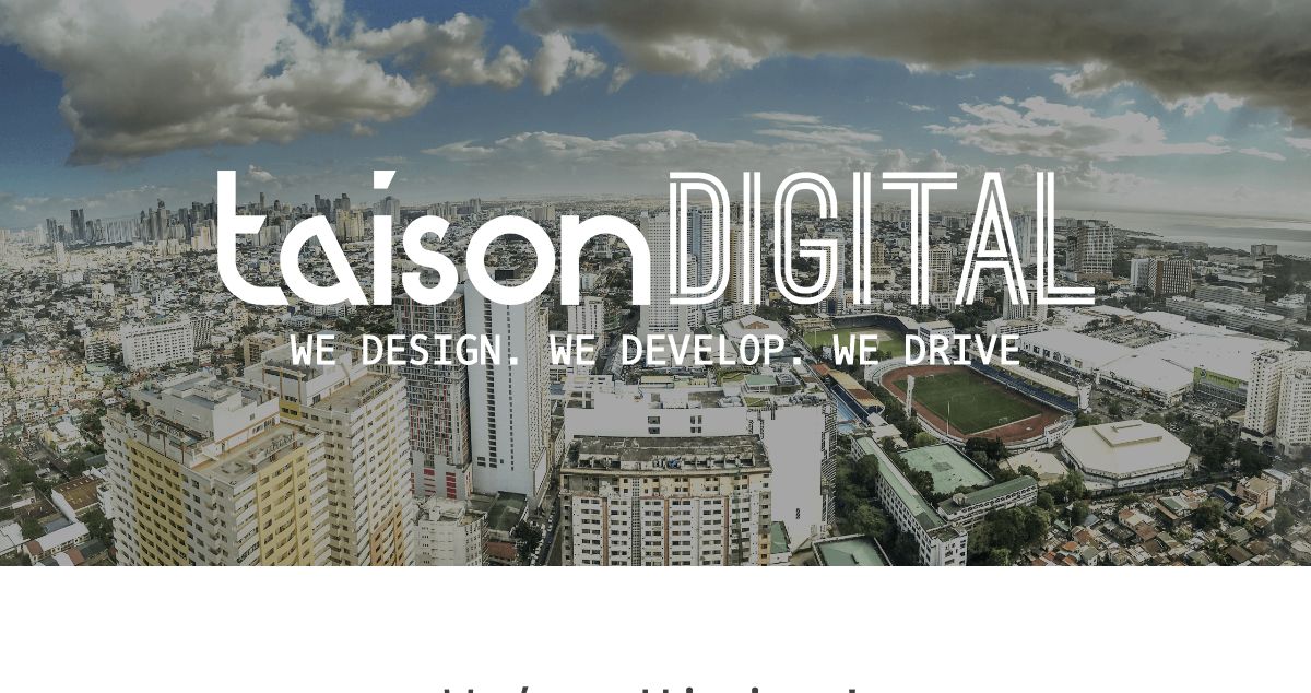 Homepage of Taison Digital hosting