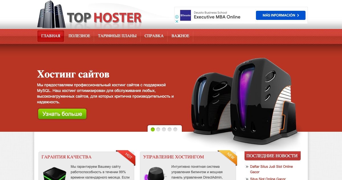 Homepage of Top Hoster hosting