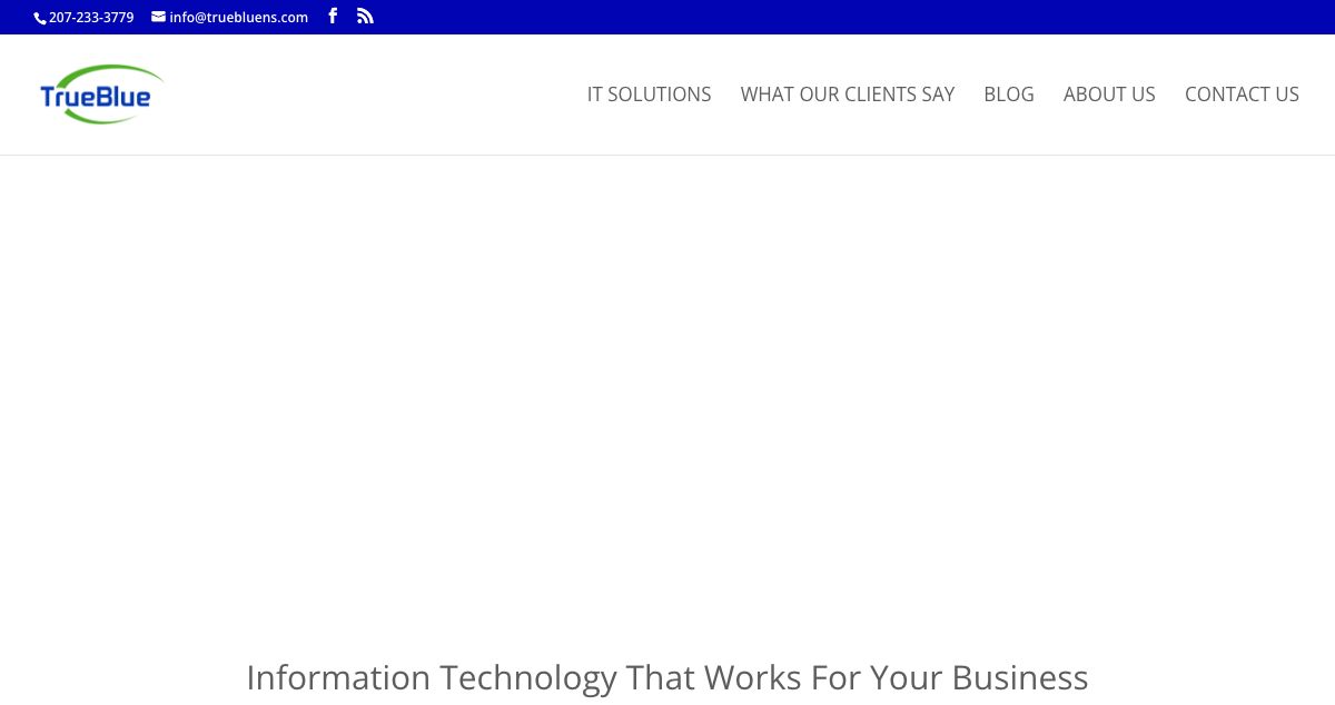 Homepage of True Blue Network Solutions hosting