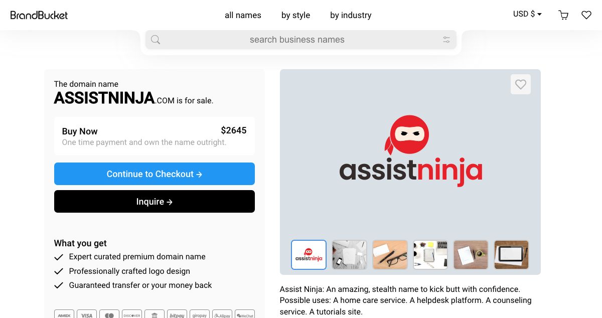 Homepage of AssistNinja hosting