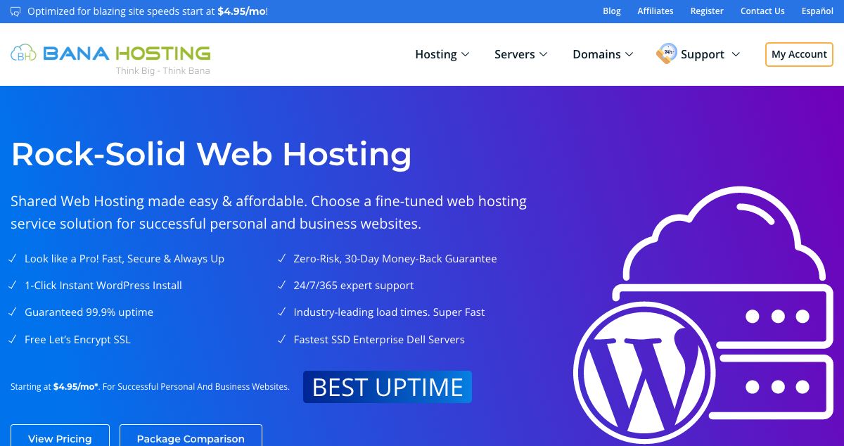 Homepage of BanaHosting hosting