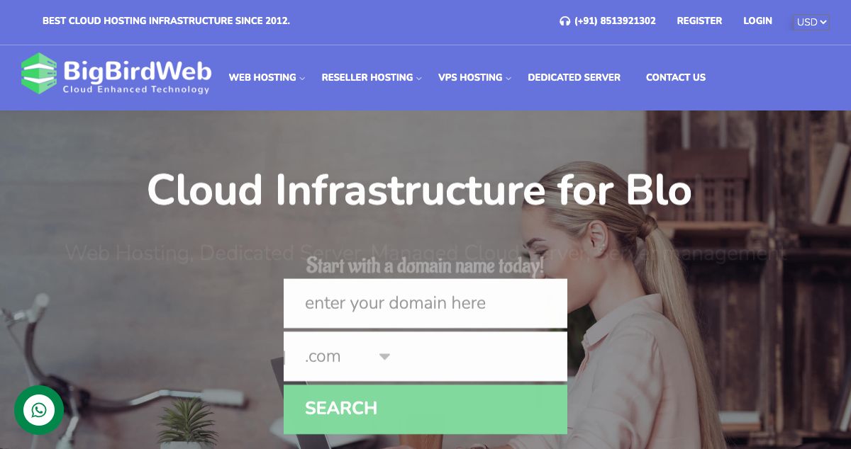 Homepage of BigBirdWeb hosting