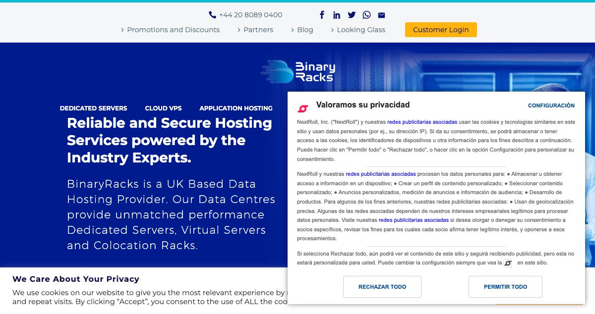 Homepage of Binary Racks hosting