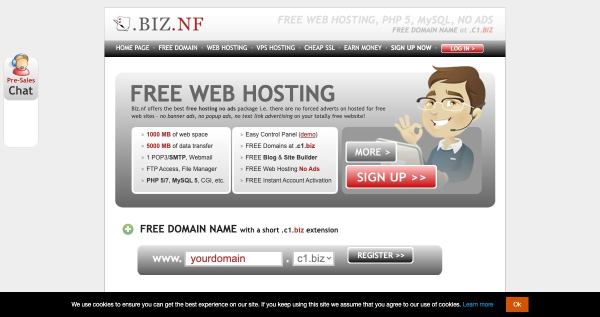 Homepage of Biz.nf hosting