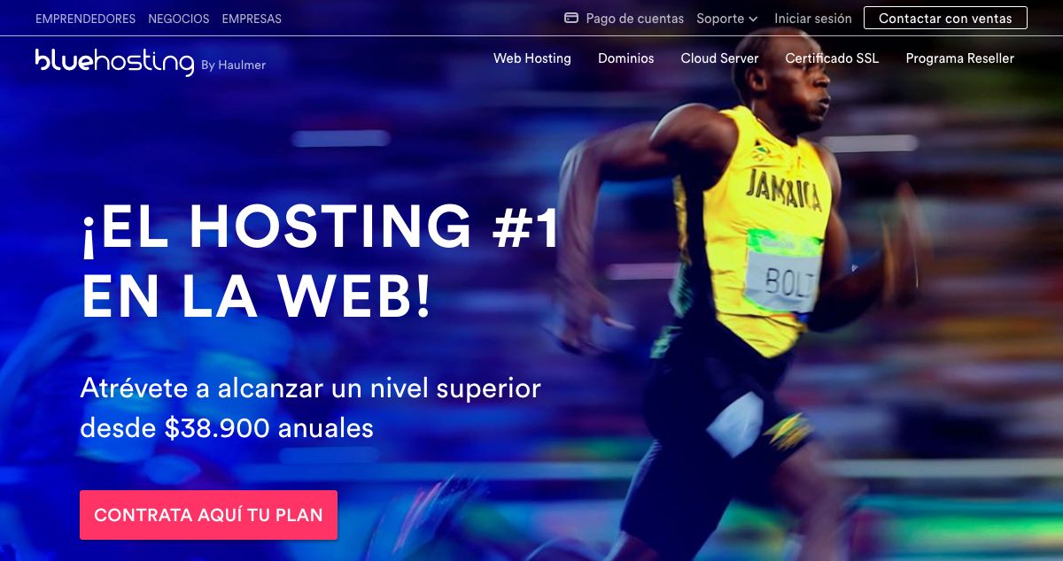 Homepage of BlueHosting.cl hosting