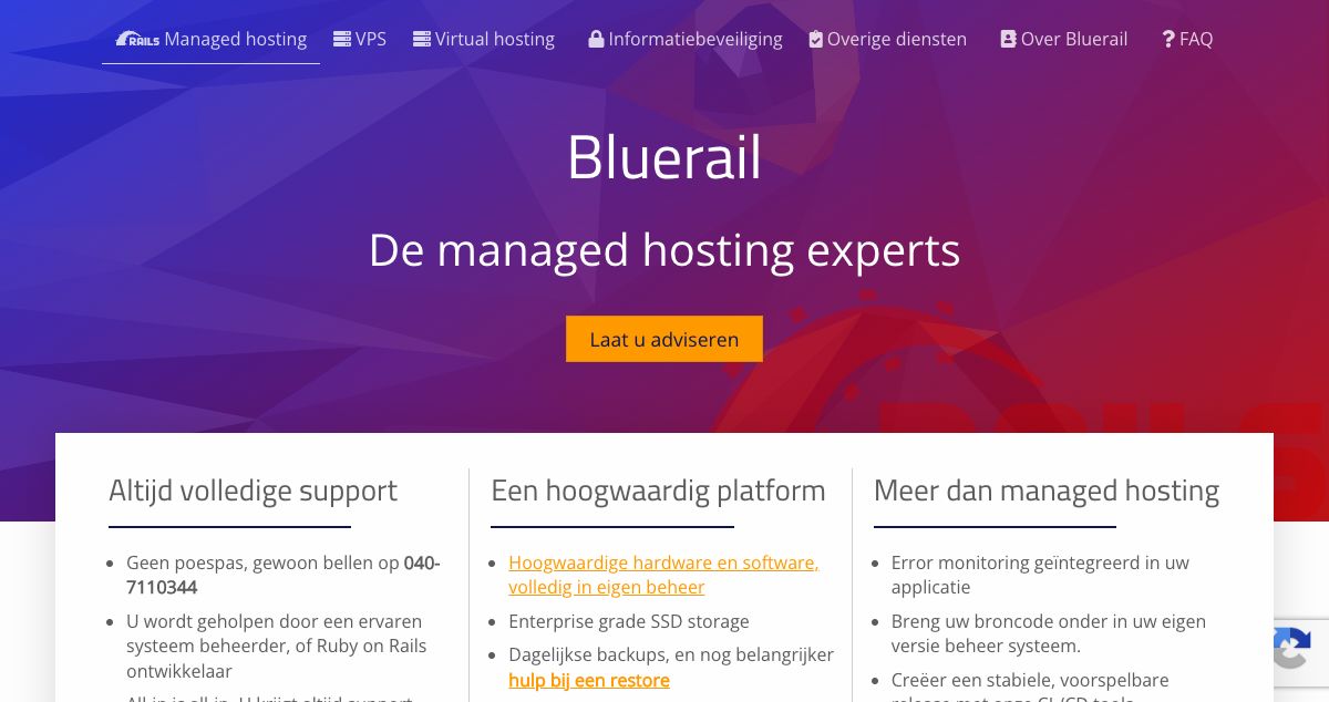 Homepage of Bluerail hosting