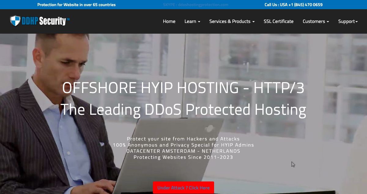 Homepage of DDHP Security hosting