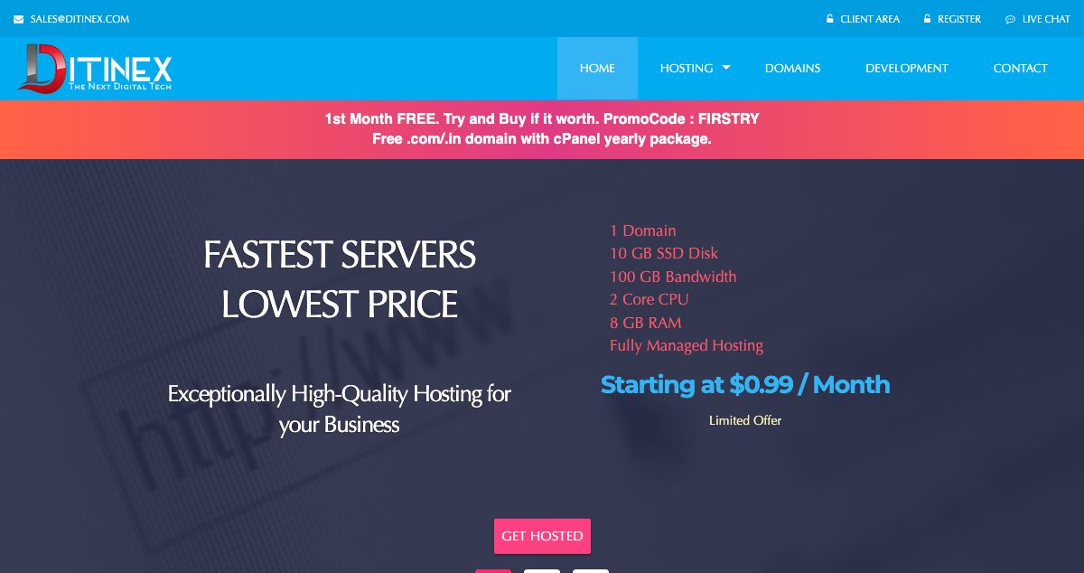 Homepage of Ditinex hosting