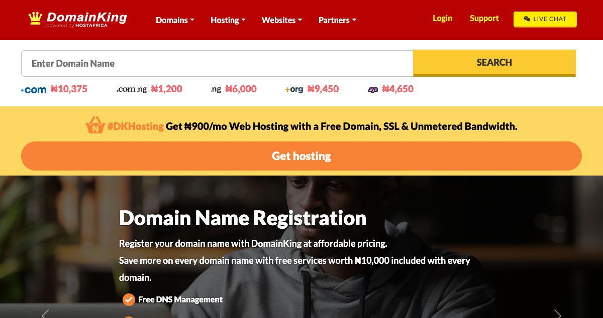 Homepage of DomainKing Nigeria hosting