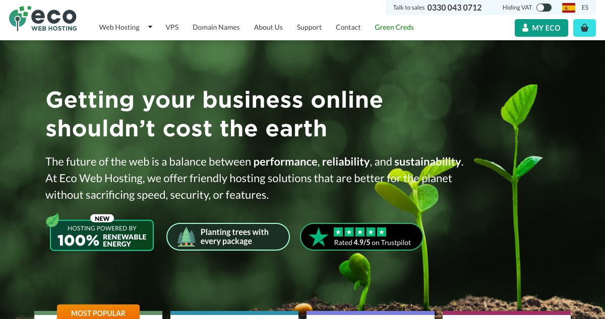 Homepage of Eco Web Hosting hosting