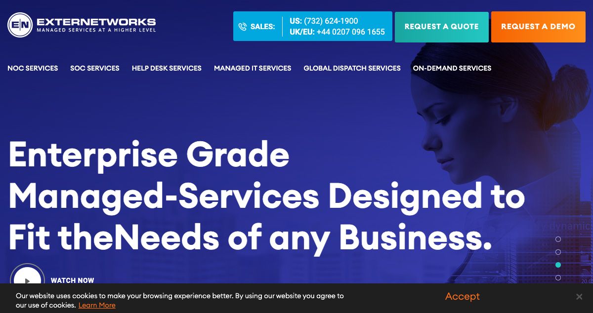 Homepage of Externetworks hosting